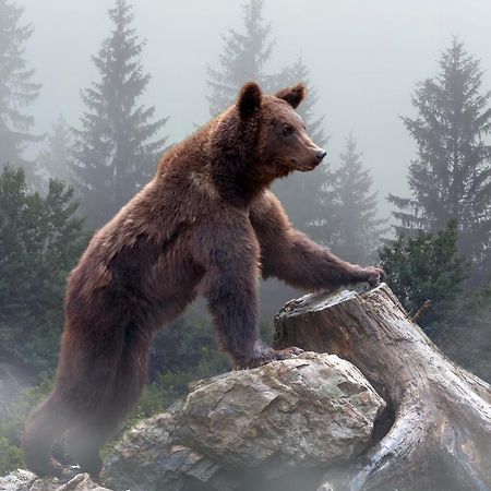 Omeo Suites Big Bear Velké Medvědí jezero Exteriér fotografie