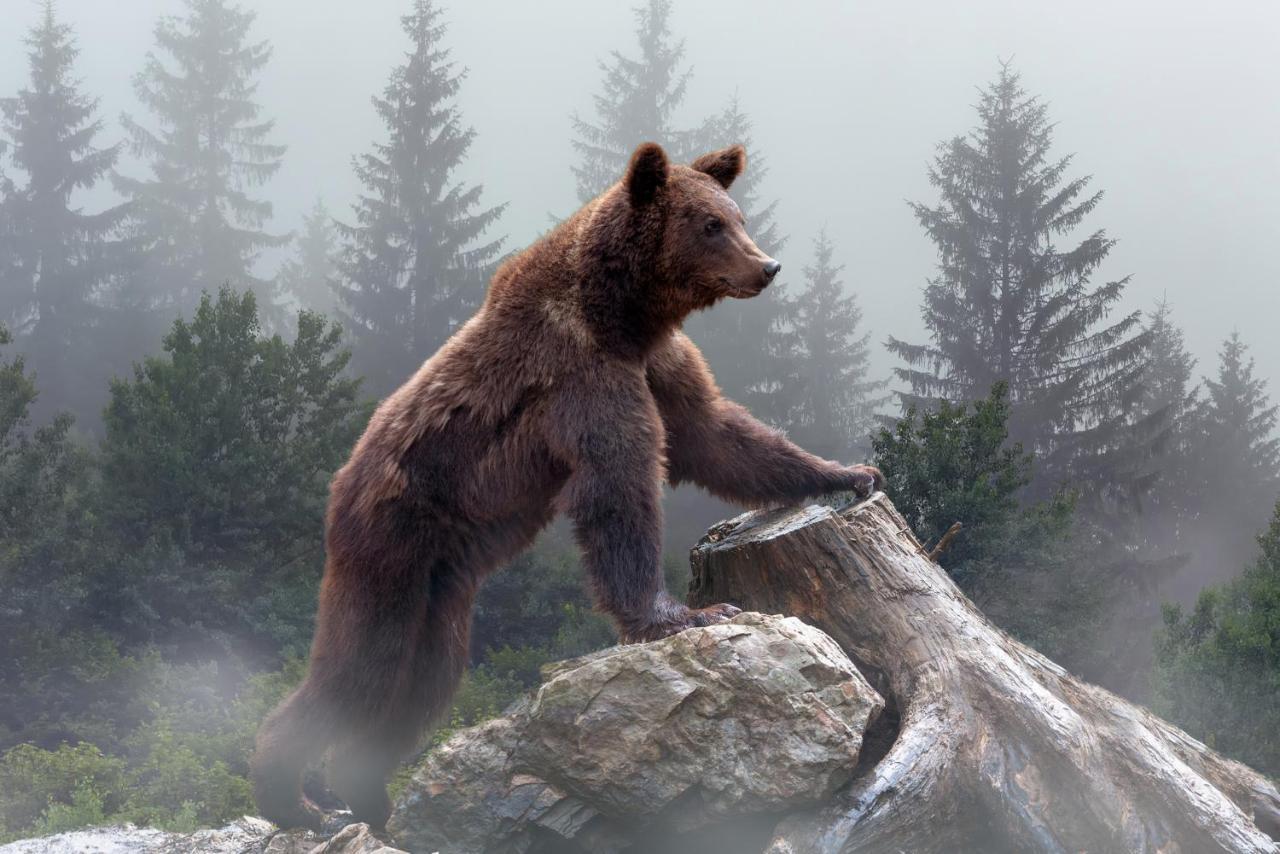 Omeo Suites Big Bear Velké Medvědí jezero Exteriér fotografie